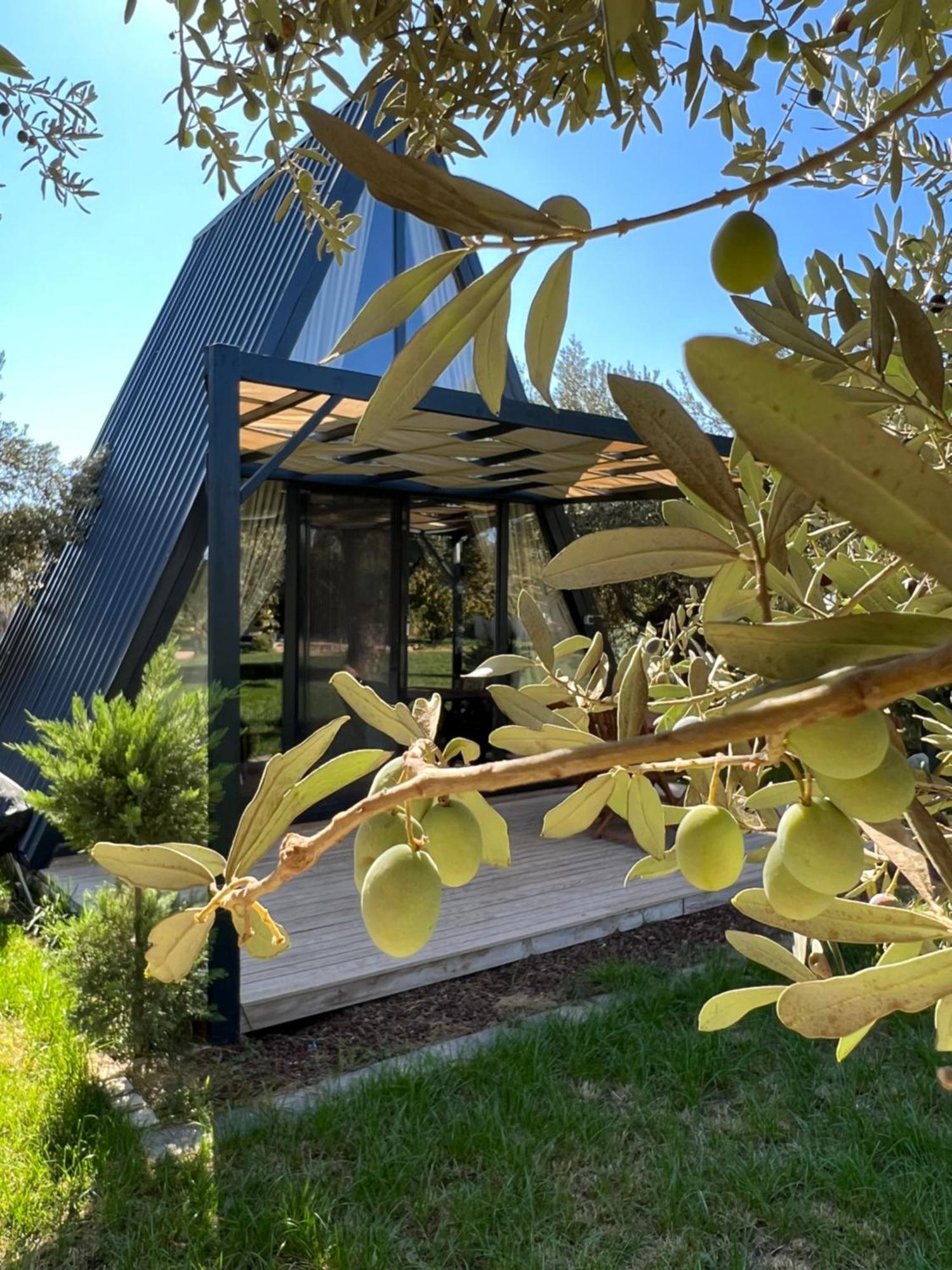 Byelka Bungalov Ayvalı Exteriör bild