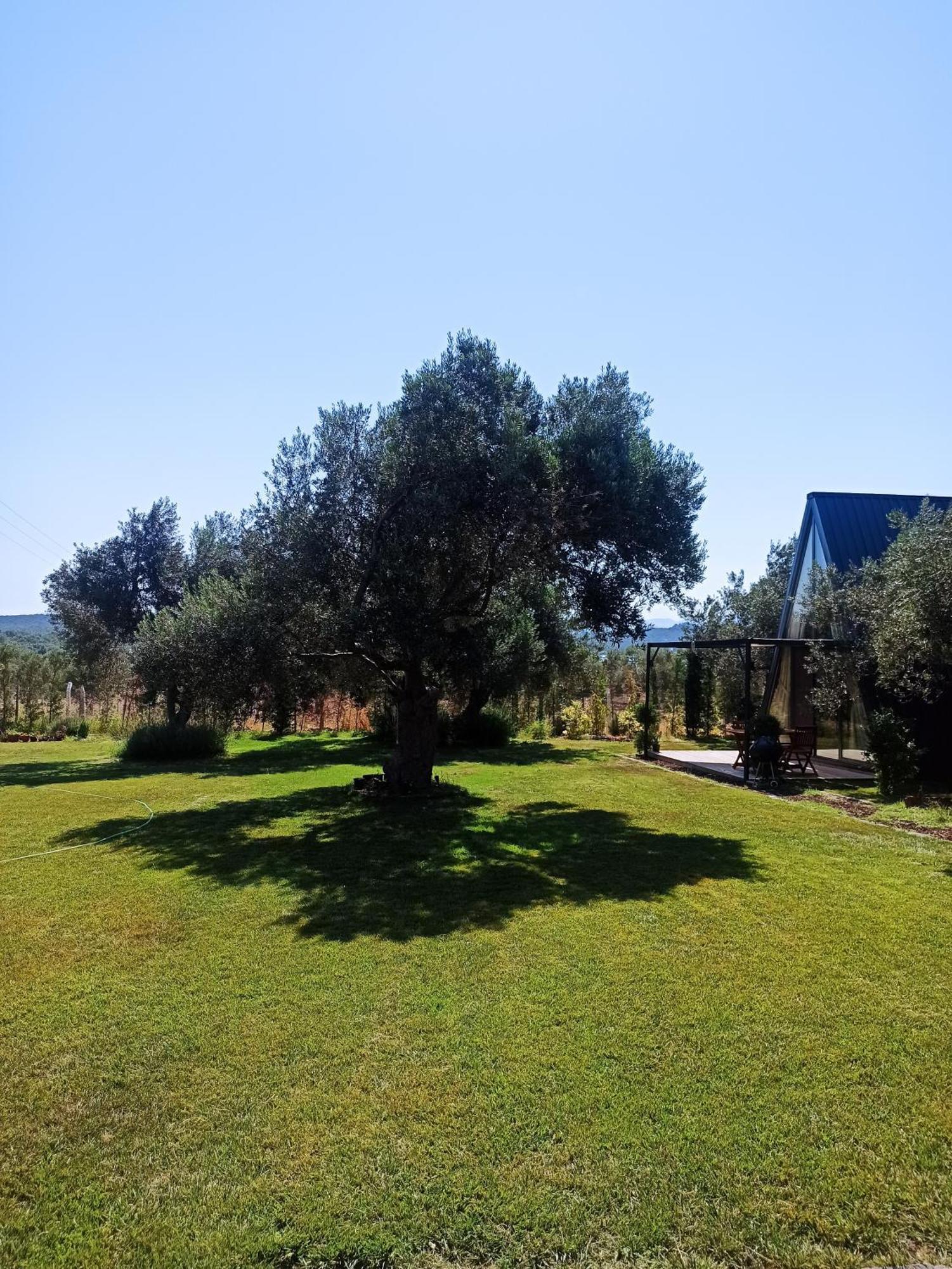 Byelka Bungalov Ayvalı Exteriör bild